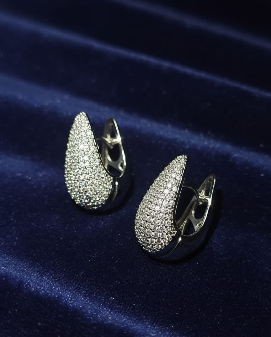 Premium Anti-Tarnish Earrings (925 Plated)