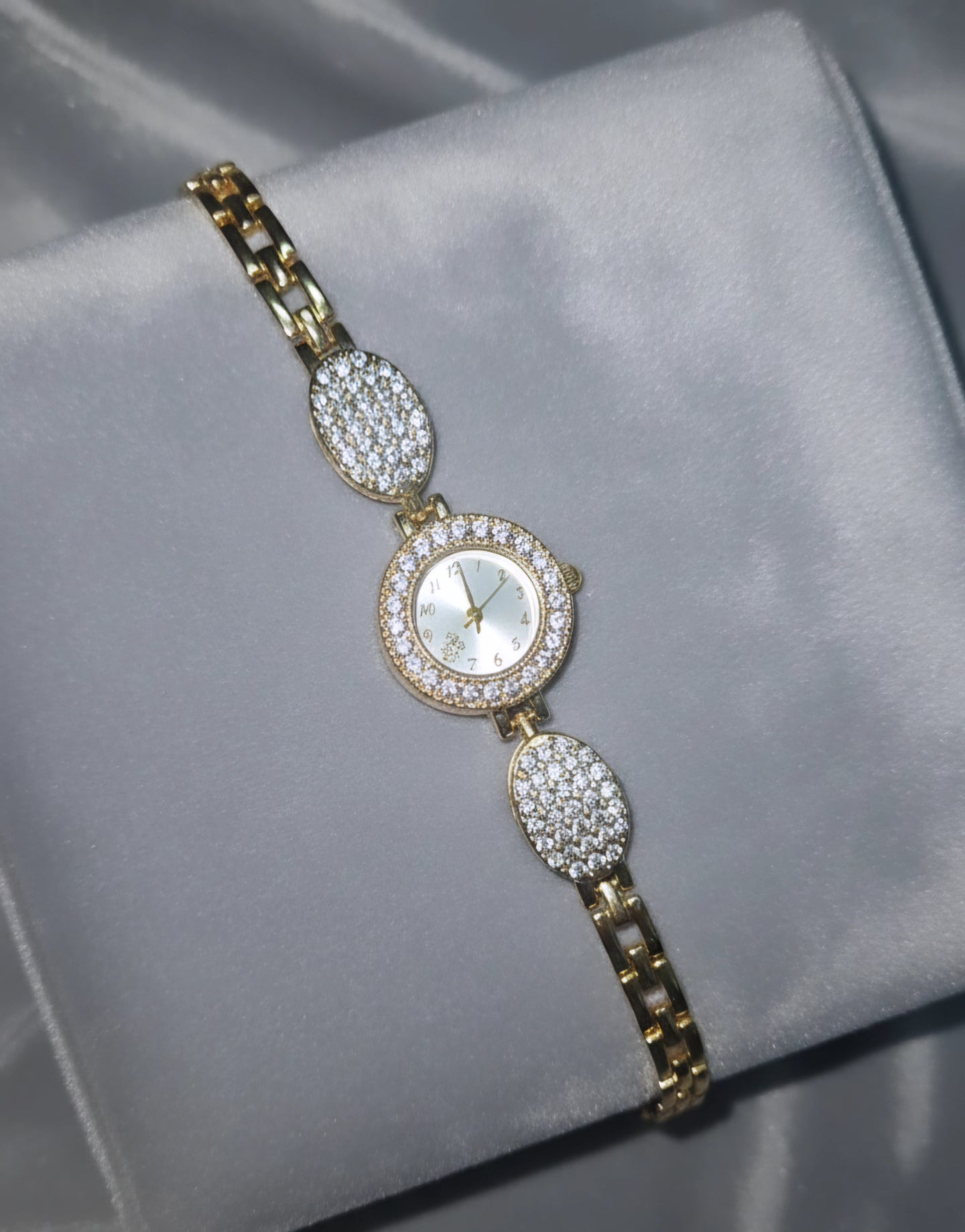 Anti-Tarnish Premium Watch