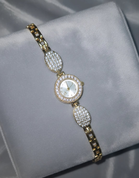 Anti-Tarnish Premium Watch